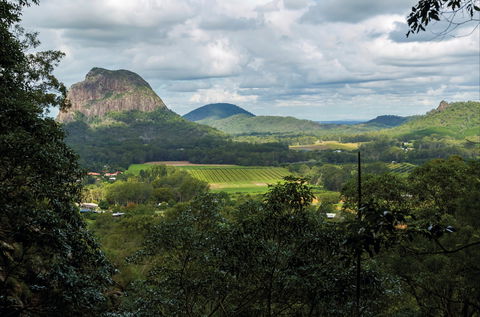 Mount Ngungun Summit Walking Track, Glass House Mountains National Park - Accommodation Gladstone 1