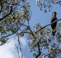 Mummel Gulf National Park - Accommodation Gladstone