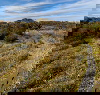 Murramarang Aboriginal Area Walking Track - Accommodation Gladstone