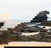 Mystery Bay Short Walk - Accommodation Gladstone