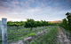 Nature And Foodies Trail - thumb 0