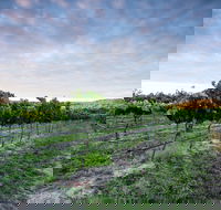 Nature and Foodies Trail