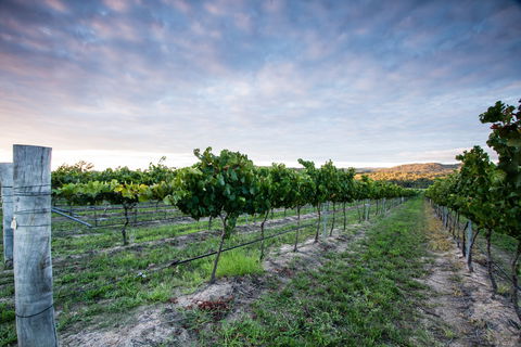 Nature And Foodies Trail - Accommodation Gladstone 0