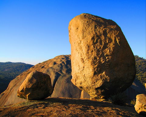 Nature And Foodies Trail - Accommodation Gladstone 1