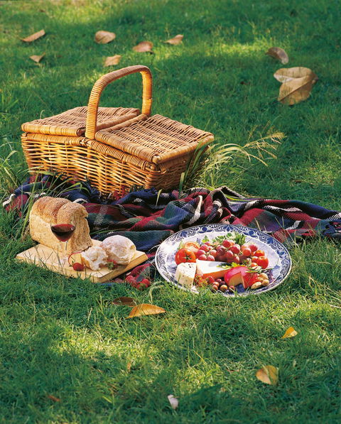 Nature And Foodies Trail - Accommodation Gladstone 2