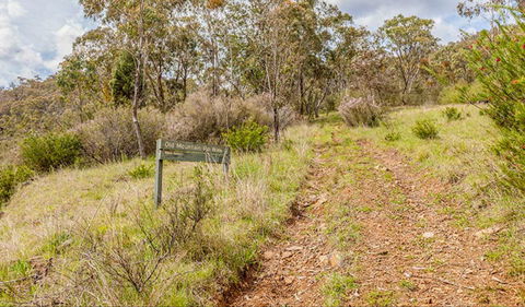 Old Mountain Road Walking Track - Accommodation Gladstone 0