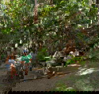 Palms picnic area - Accommodation Gladstone