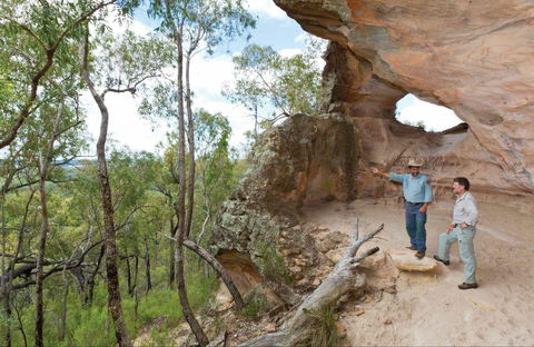 Pilliga National Park - Accommodation Gladstone 0