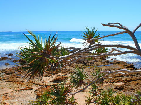 Rocky Point - Accommodation Gladstone 1