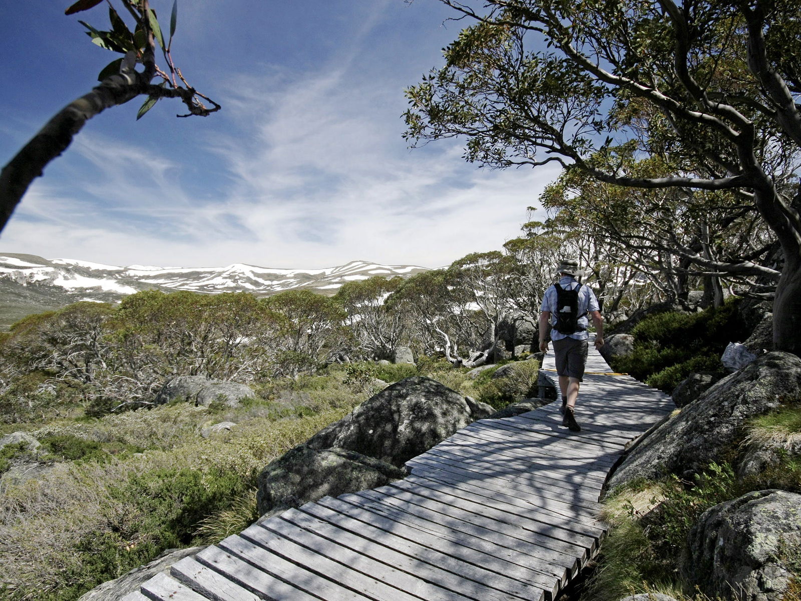 Pilot Wilderness NSW Accommodation Gladstone