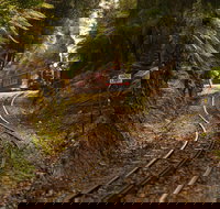 The West Coast Wilderness Way - Accommodation Gladstone