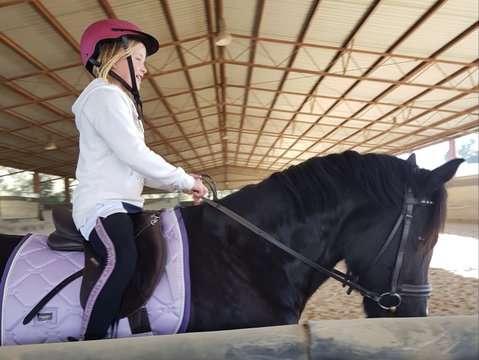 The Equine Club - Accommodation Gladstone 1