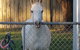 The Equine Club - thumb 2