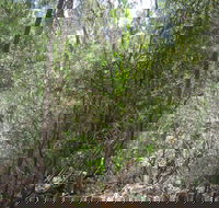 Wangaratta Common Nature Conservation Reserve - Accommodation Gladstone