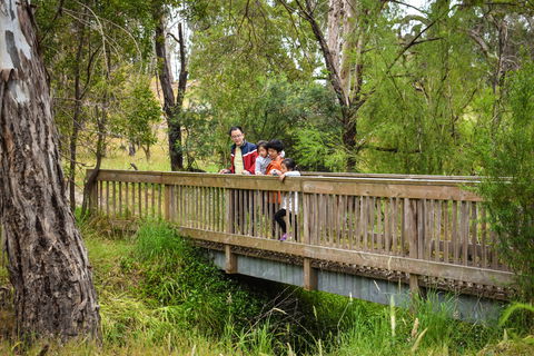 Westerfolds Park - Accommodation Gladstone 0
