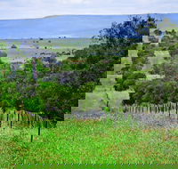 Wild Dog Barrier Fence - Accommodation Gladstone