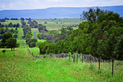 Wild Dog Barrier Fence - Accommodation Gladstone 0