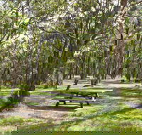 Wollomombi Gorge and Falls Picnic Area - Accommodation Gladstone