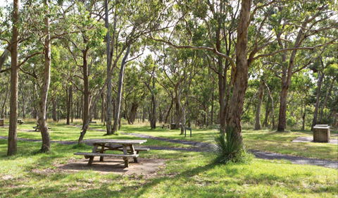Wollomombi Gorge And Falls Picnic Area - Accommodation Gladstone 0