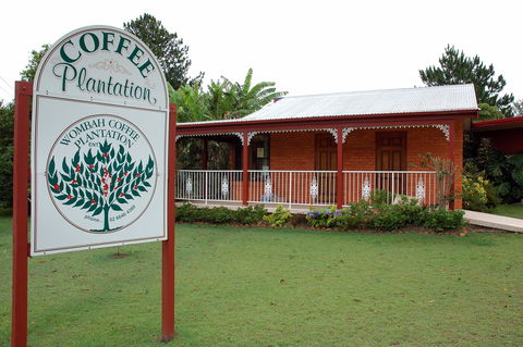 Wombah Coffee Plantation - Accommodation Gladstone 0