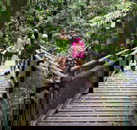 Wonga Walk - Accommodation Gladstone