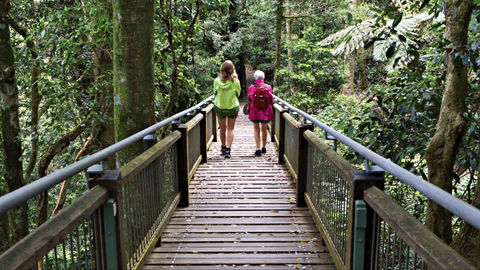 Wonga Walk - Accommodation Gladstone 0