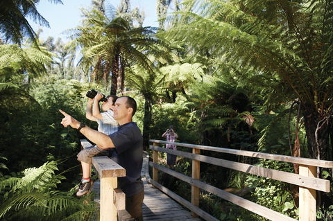 Yarra Ranges National Park - Accommodation Gladstone 1
