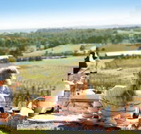 Audrey Wilkinson Vineyard Picnic with Wine Masterclass Tasting - Accommodation Gladstone