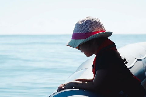 Premier Whale Watching Byron Bay - Accommodation Gladstone 3