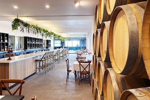 Bimbadgen Vineyard: Picnic And Premium Wine Tasting - Accommodation Gladstone 1