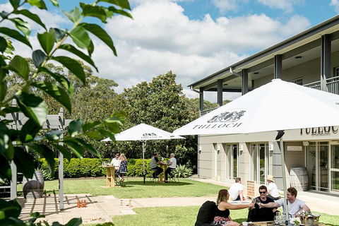 Tulloch Wines- Premium Museum Aged Wine Tasting With Cheese And Charcuterie - Accommodation Gladstone 7