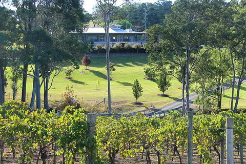 Tulloch Wines- Premium Museum Aged Wine Tasting With Cheese And Charcuterie - Accommodation Gladstone 5