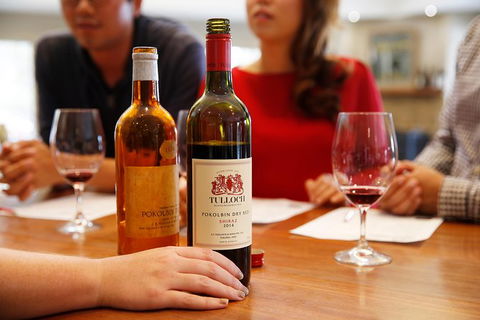 Tulloch Wines- Premium Museum Aged Wine Tasting With Cheese And Charcuterie - Accommodation Gladstone 6