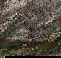 Brisbane Ranges National Park - Accommodation Gladstone