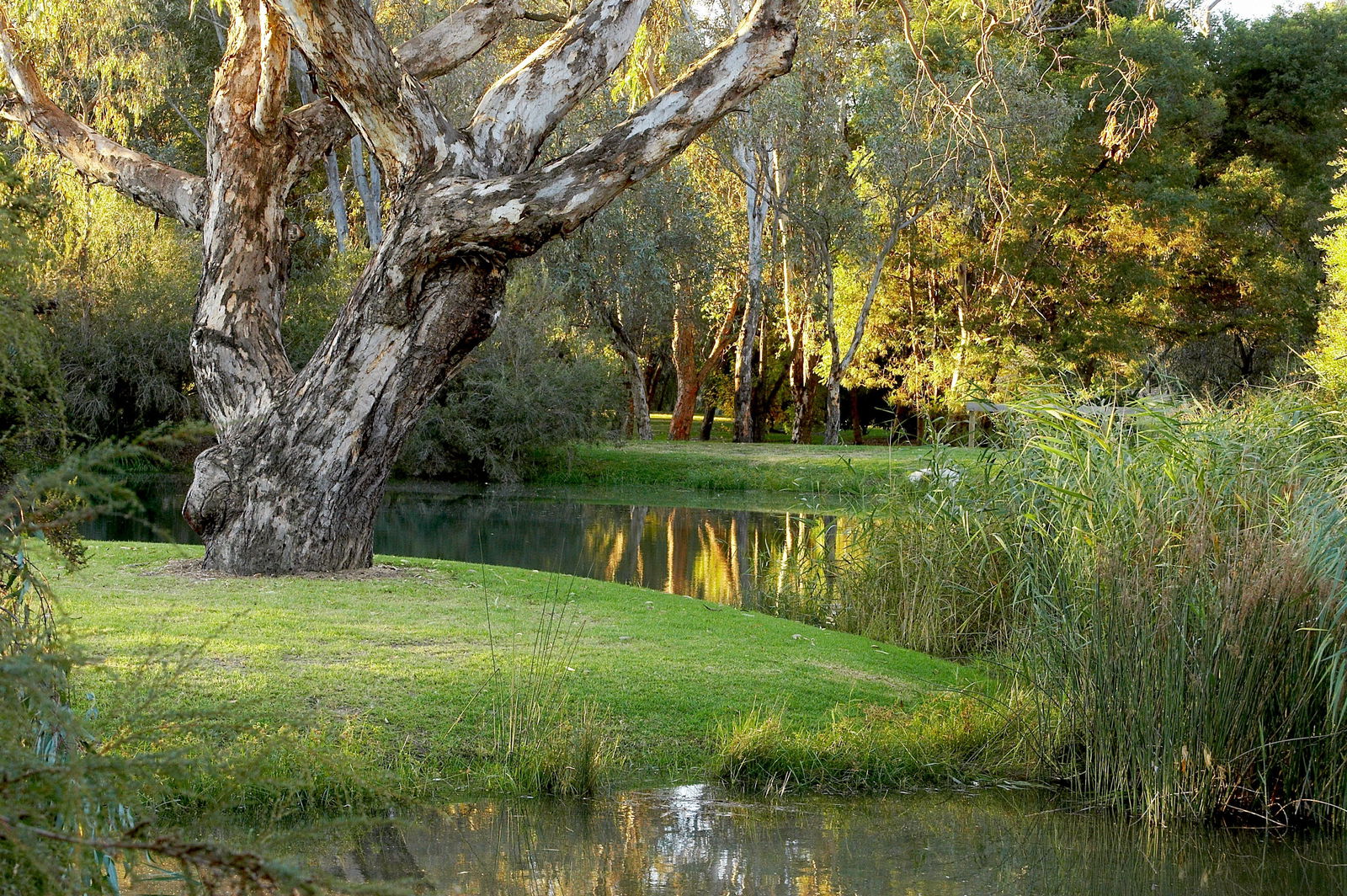 Gateway Island VIC Accommodation Gladstone