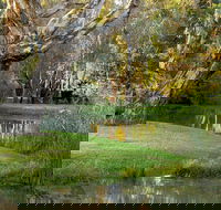 Gateway Island Parklands - Accommodation Gladstone