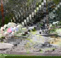 Maroochy Regional Bushland Botanic Garden - Accommodation Gladstone