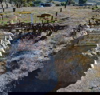 Wangaraleednie Monument  Ruins - Accommodation Gladstone