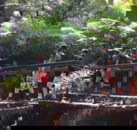 Glow Worm Tunnel Hike - Accommodation Gladstone