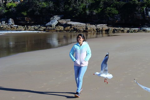 Half Day Manly Beach And More - Accommodation Gladstone 6