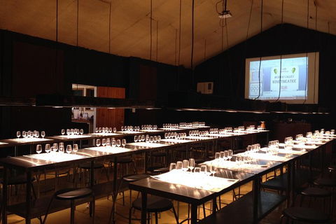 Hunter Valley Wine Theatre - Accommodation Gladstone 3