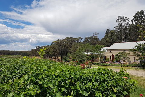 Tintilla Estate: Wine Tasting With A Meat And Cheese Platter - Accommodation Gladstone 5