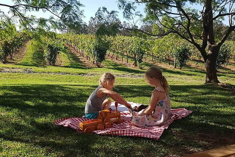 Tintilla Estate: Wine Tasting With A Meat And Cheese Platter - Accommodation Gladstone 2
