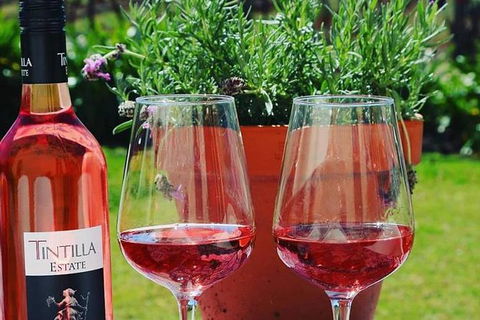 Tintilla Estate: Wine Tasting With A Meat And Cheese Platter - Accommodation Gladstone 6