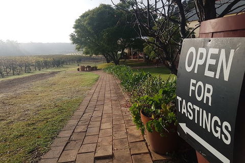 Tintilla Estate: Wine Tasting With A Meat And Cheese Platter - Accommodation Gladstone 3