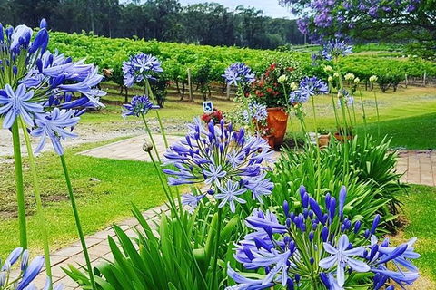Tintilla Estate: Wine Tasting With A Meat And Cheese Platter - Accommodation Gladstone 4