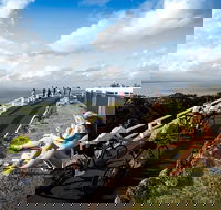 3 hour - Byron Bay Guided Ride - Accommodation Gladstone