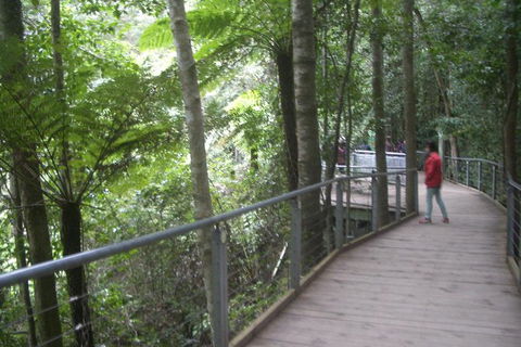 Private Blue Mountains Tour With Expert Guide - Accommodation Gladstone 11
