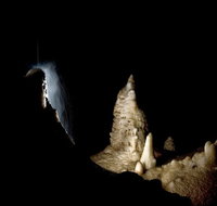 Jenolan Caves Extended Temple of Baal Cave Tour - Accommodation Gladstone