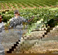 VIP Soil-To-Cellar Experience - Accommodation Gladstone